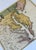 Early 18th Century Chesapeake Bay: Virginia, Maryland, Pennsylvania & New Jersey Original Map by Senex, 1721 For Sale - Image 5 of 8