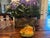 Ceramic Beautiful Katherine Houston Porcelain Melon Sculpture For Sale - Image 7 of 16