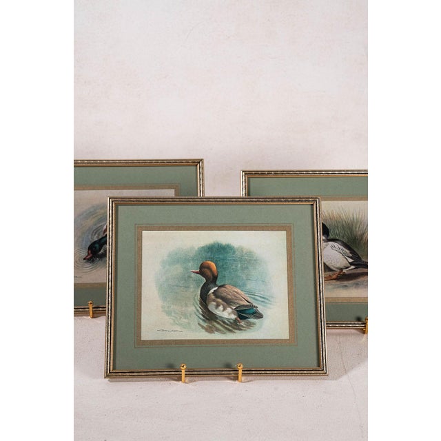 Arts & Crafts Set of 3 Signed Duck Prints With Green Mats For Sale - Image 3 of 9