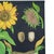 Large Vintage Sunflower School Chart by Jung Koch Quentell, 1973 For Sale - Image 11 of 13