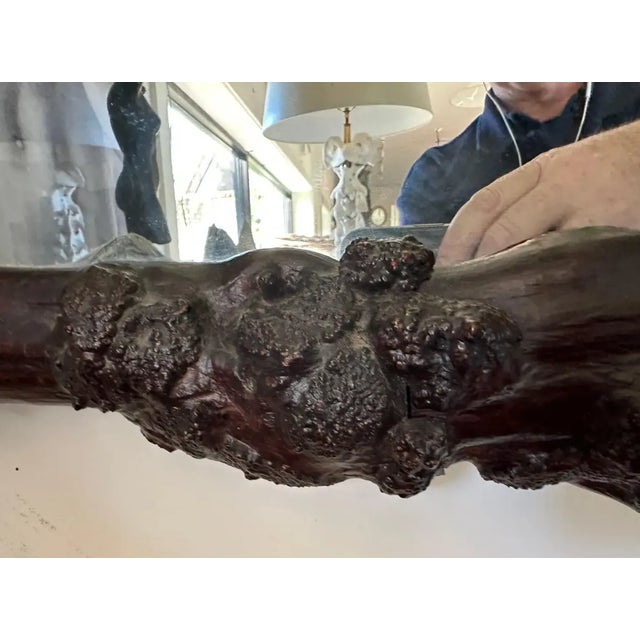 Early 20th Century Chinese Root Wood Framed Mirror For Sale In New York - Image 6 of 10