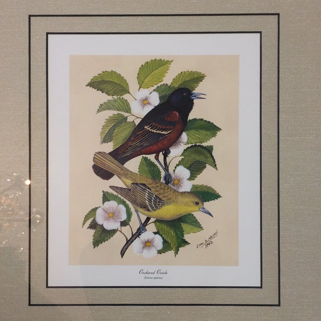 Vintage Earl O Henry Bird Prints 4 Framed Prints Chairish