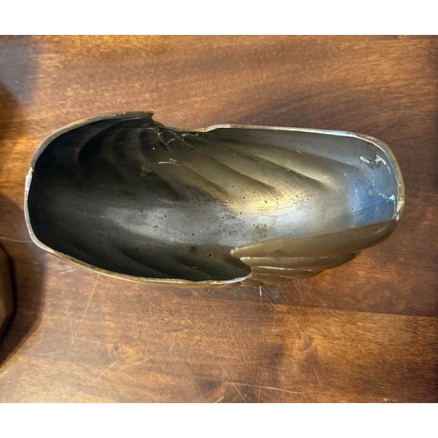 Hair Brass Nautilus Shell For Sale - Image 6 of 12