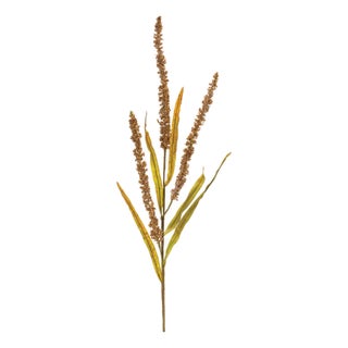Seeded Plume Spray (Set of 12) For Sale