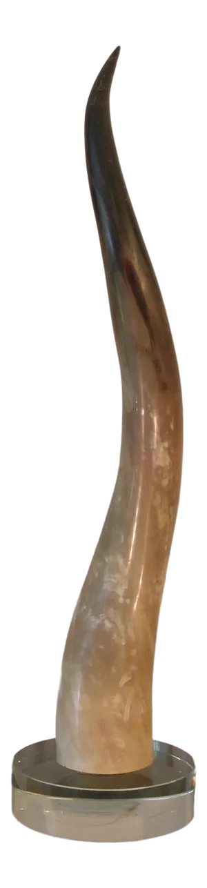 Decorative Tall Bull Horn on Glass Base