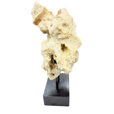 Natural coral stone from Indonesia with a sandy hue, displayed on a handcrafted teak stand. Its organic texture and warm...