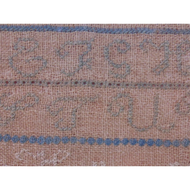 Wood 1832 Alphabet Sampler by Phebe Ann Holland in Original Burled Maple Frame For Sale - Image 7 of 10