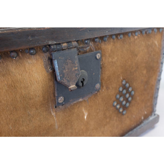 Late 19th Century Antique Trunk from Alfred T. Morris, 1890 For Sale - Image 5 of 12