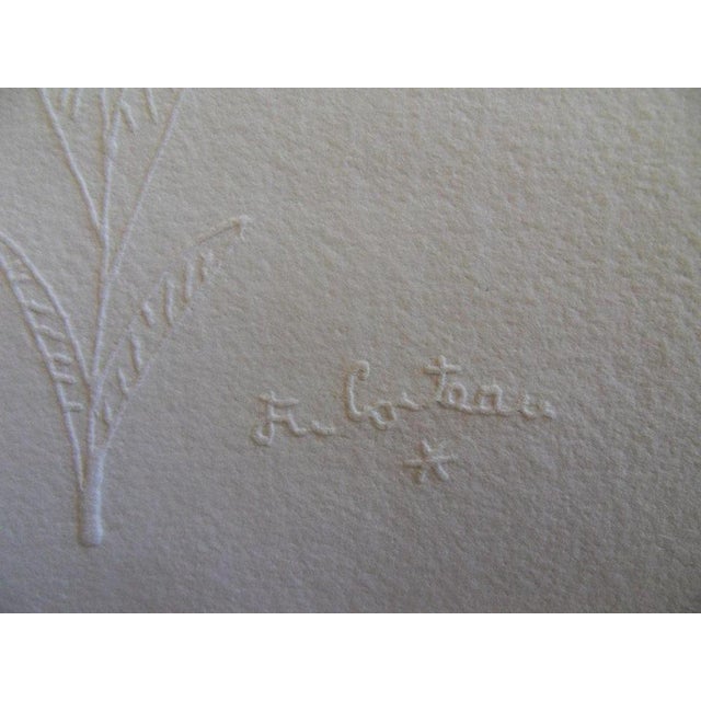 Modern Jean Cocteau, Profil fleuri, Etching For Sale - Image 3 of 4