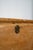 19th Century Primitive Pine Storage Chest With Original Hardware, 19th Century For Sale - Image 5 of 7