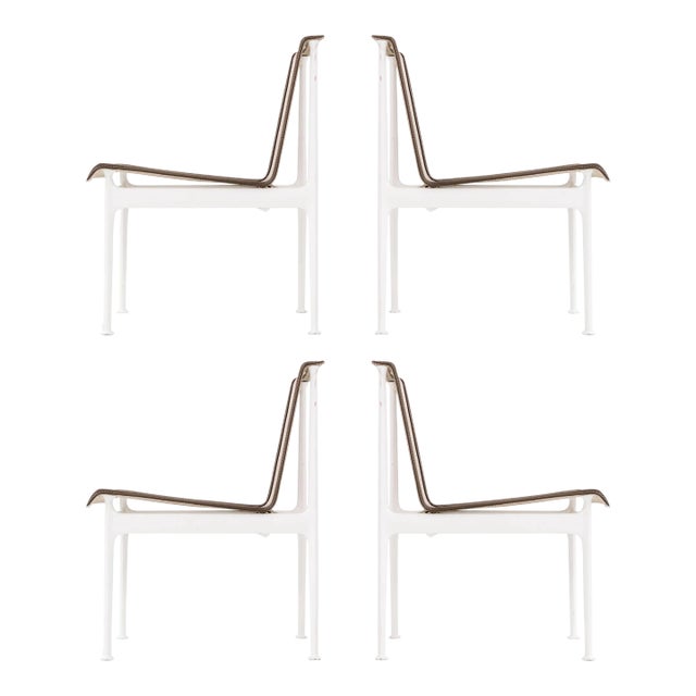 Richard Schultz 1966 Series Dining Chairs - Set of 4 For Sale