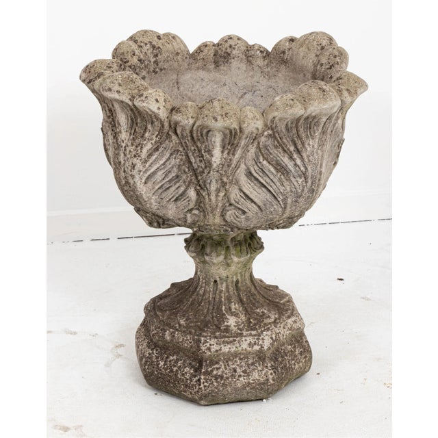 Acanthus Concrete Leaf Planter For Sale - Image 10 of 10