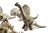 Perfectly Shaped Silver Dinosaurs, Set of 10 For Sale - Image 5 of 12