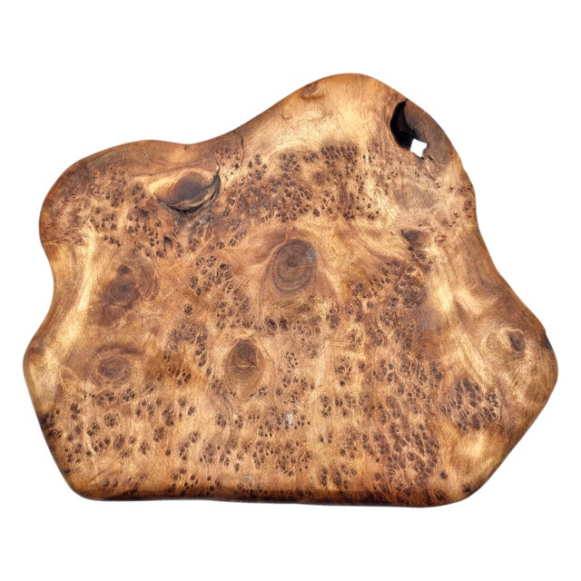 Selenite Crystal Formation on Quartz Matrix, Burl Wood Base, 7.5" For Sale - Image 13 of 14