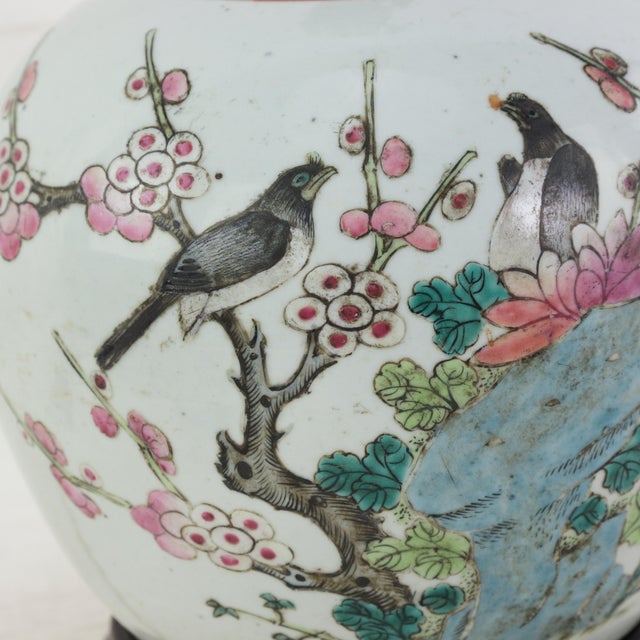 Antique Famille Rose Porcelain Vase Lamp With Birds on Flowering Plum Branches and Rockery For Sale - Image 13 of 14