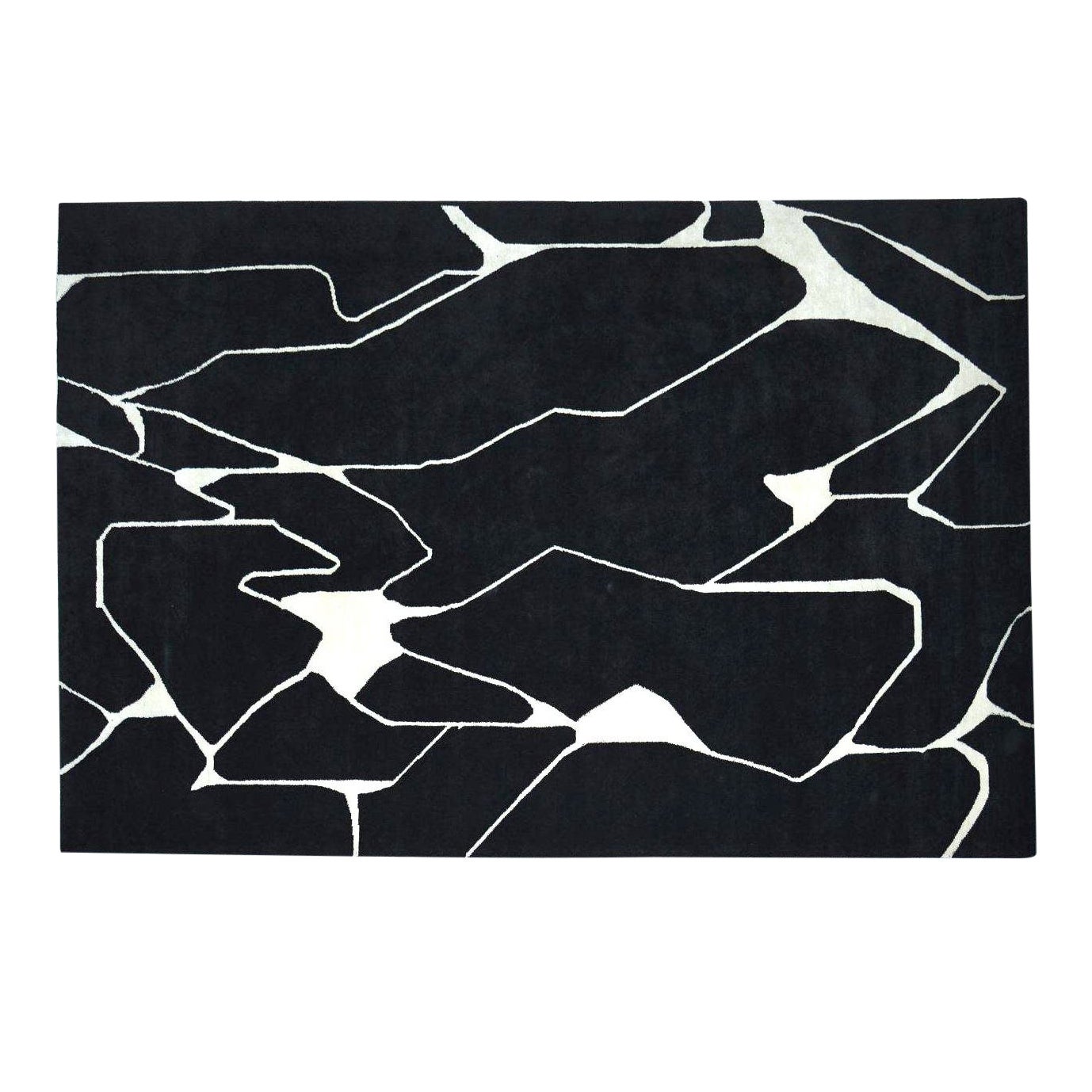 Pablo 10' x 14' Rug Black/White Chairish