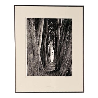 Michael Wayman, "Aisle of Trees — Sea Road", Dated 1999 For Sale