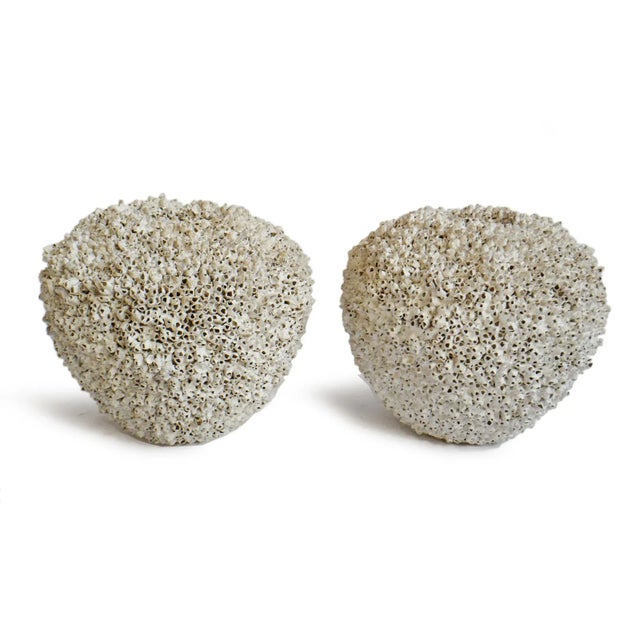 Beautiful vintage natural barnacle covered cement pot. Time consuming commercially grown authentic barnacles covering a...