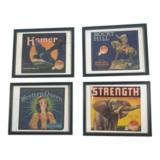 Sunkist Vintage Polychrome Advertisement Posters Framed - Set of 4 For Sale