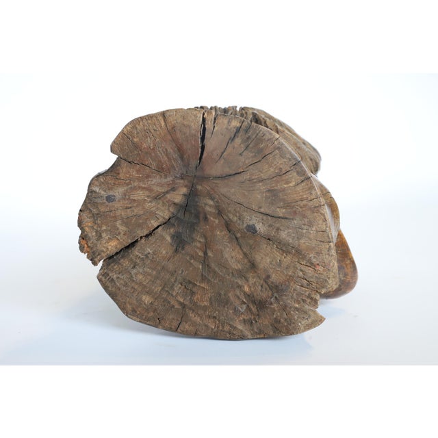 Early 20th Century Hand Carved Wooden Head Scutlpture For Sale - Image 12 of 13
