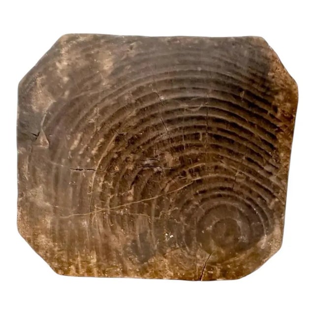 Italian Baroque Artist, Carved Altar Candlestick Figure, 1700s, Walnut For Sale - Image 12 of 16