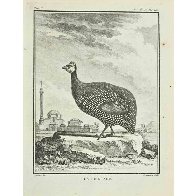 The painting is an etching realized in 1771 by Catherine Haussard. Signed in flat. The Artwork Belongs to the Suite...