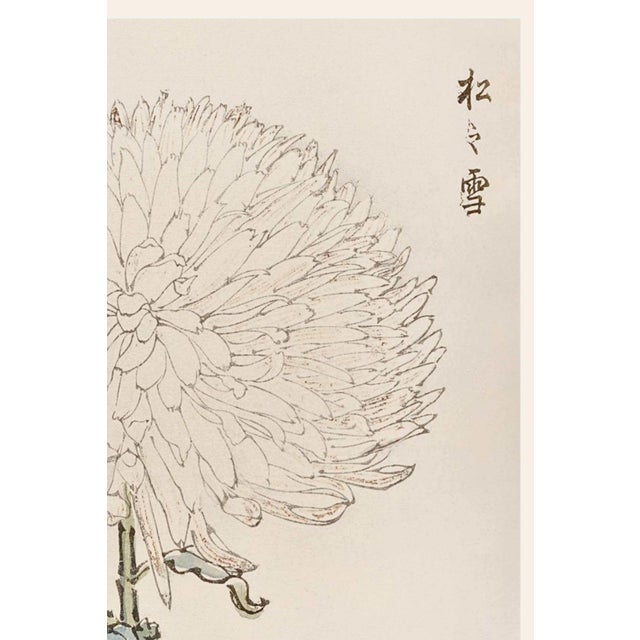 Japanese White Chrysanthemum by Hasegawa, Vintage Japanese Botanical Art Print, 36" X 54" For Sale - Image 3 of 9