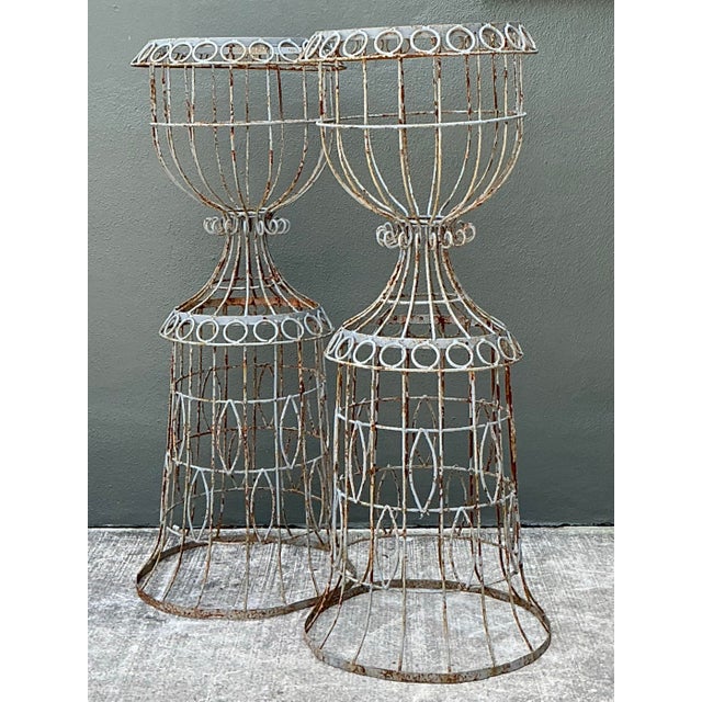 Vintage Patinated Wire Plant Stands - A Pair For Sale - Image 11 of 12