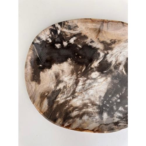 Brown Very Large Vide-Poche or Dish in Petrified Wood For Sale - Image 8 of 18