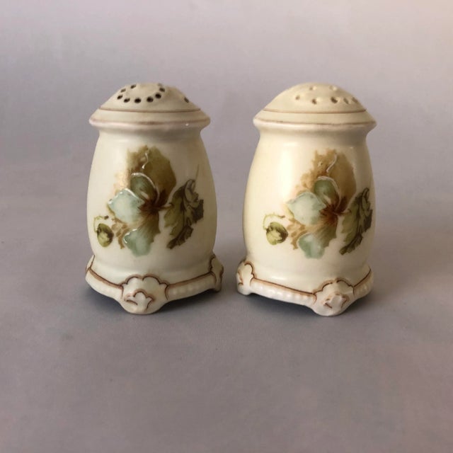 Antique Art Nouveau Silesia "Old Ivory" Pattern Salt & Pepper Shakers- a Pair For Sale In New York - Image 6 of 6