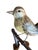 1930s Austrian Folk Art Carved Wood Bird #72, 1930s For Sale - Image 5 of 5