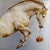 Reign by Michele Kortbawi Wilk | Oil on Linen with Silver Leaf Horse holding a crown. For Sale