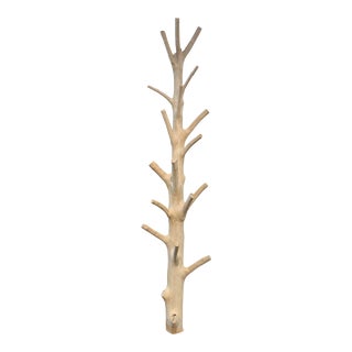 Early 21st Century Mangosteen Half Tree Wall Coat Rack For Sale