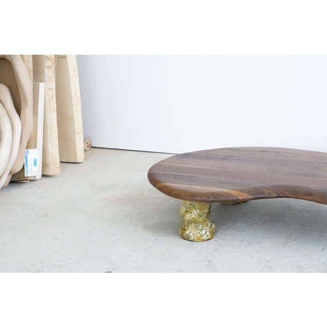 Wood Walnut and Glazed Ceramic Coffee Table by Alexander Knysch For Sale - Image 7 of 16