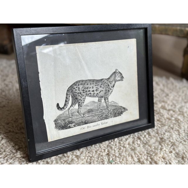 Transport yourself to the Biedermeier era with this exquisite and rare original lithograph from the book "Neue...