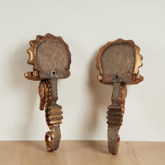 Group of Four Antique Italian Seashell and Seahorse Wall Brackets For Sale - Image 17 of 18