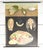 Mollusc School Poster by Jung, Koch, & Quentell for Hagemann, 1970s For Sale - Image 10 of 10
