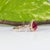 Red 1.9Ct Gia Certified Mozambique Ruby Ring With Natural Diamonds Accents: 14k Gold, Size 6.75 For Sale - Image 8 of 10