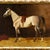 Illustration “Vintage Equestrian” Reproduction Giclee Print (2) in Ornate Gold Frame For Sale - Image 3 of 7