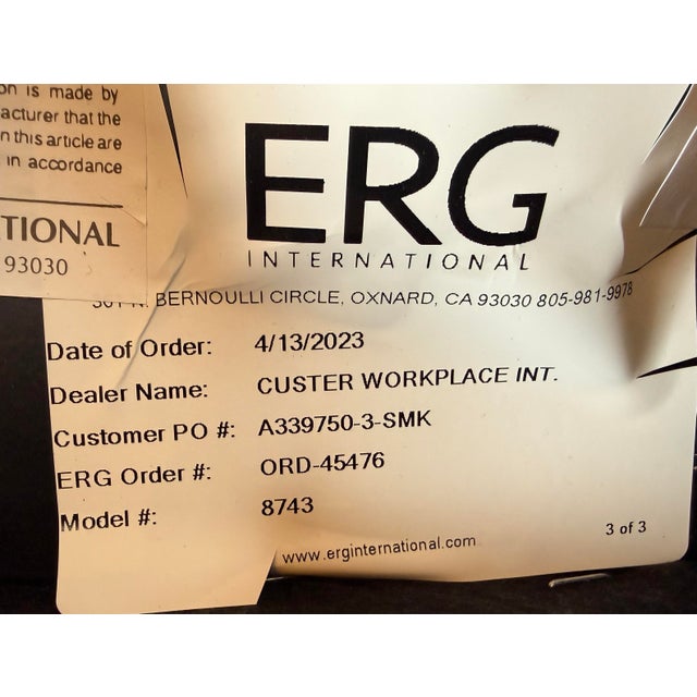 2020s Erg International Maxwell Lounge Chairs, Pair For Sale - Image 5 of 12