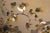 1960s "Sparrows and Persimmon", Showa Era Japanese Yamato-E Style Byobu Screen For Sale - Image 5 of 18