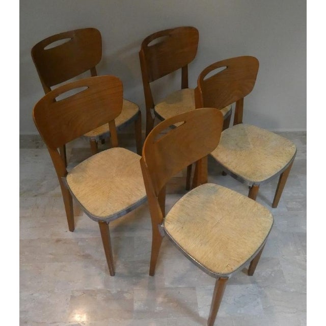 Paco Dining Chairs by Thomas Althaus and Volker Laprell for Althaus Laprell, Italy, 1990, Set of 5 For Sale - Image 4 of 17