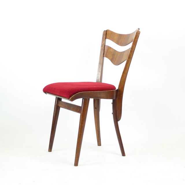 Dining Chairs in Oak and Walnut, Czechoslovakia, 1960s, Set of 4 For Sale - Image 4 of 13