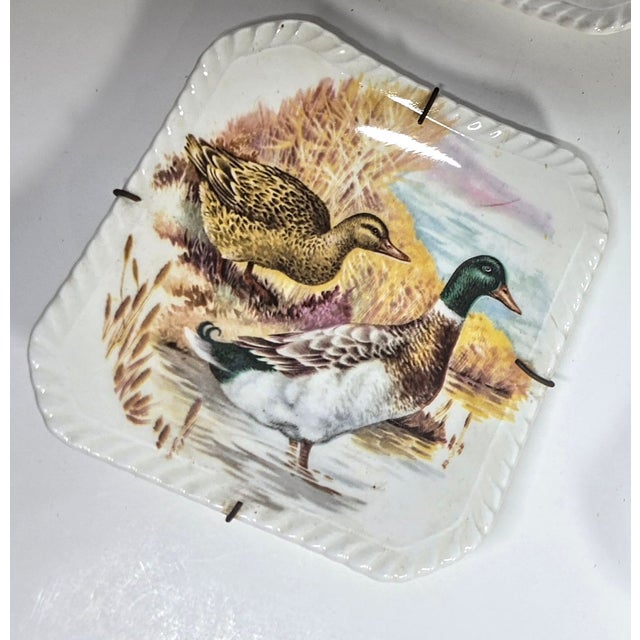 Illustrated Game Bird Plates - Set of Six For Sale - Image 14 of 16