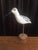 Wood Vintage Small Long-Billed Shore Bird For Sale - Image 7 of 7