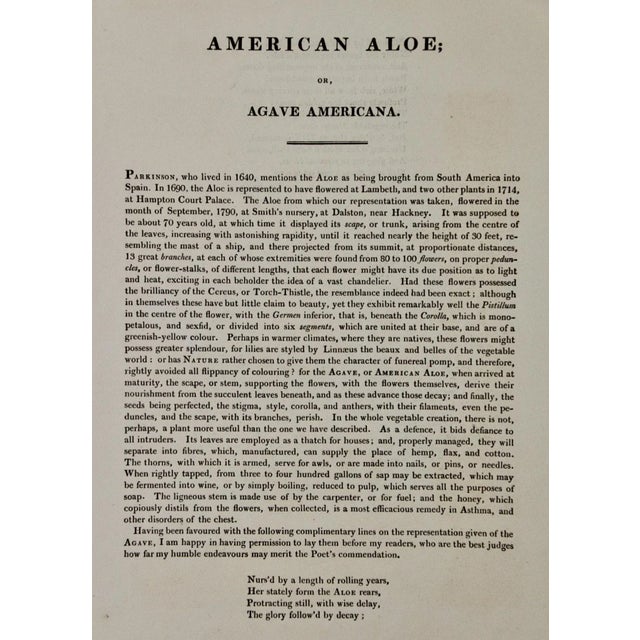Early 19th Century Agave or American Aloe: A Framed Hand-Colored Engraving From Robert Thornton, 1811 For Sale - Image 5 of 8