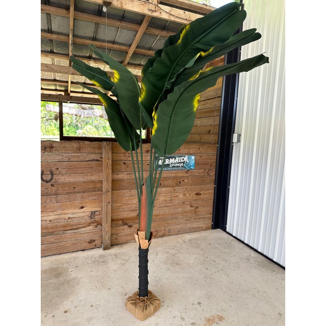 Dark Green Coastal Tropical Canvas Traveler Palm Tree For Sale - Image 8 of 11