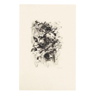 Michel Ciry, Fruit Still Life, 1964, Etching For Sale