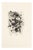Michel Ciry, Fruit Still Life, 1964, Etching For Sale