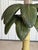 Dark Green Faux Bamboo Coastal Palm Tree Floor Lamp With Metal Fronds For Sale - Image 8 of 12